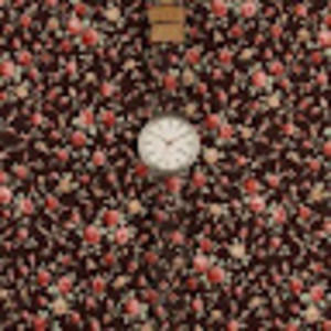 Meet your Posher, Arlet